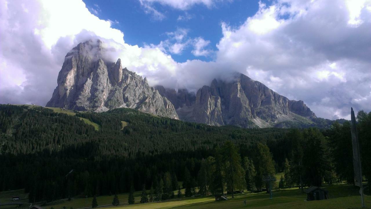 Artitsch Διαμέρισμα Santa Cristina Val Gardena Εξωτερικό φωτογραφία